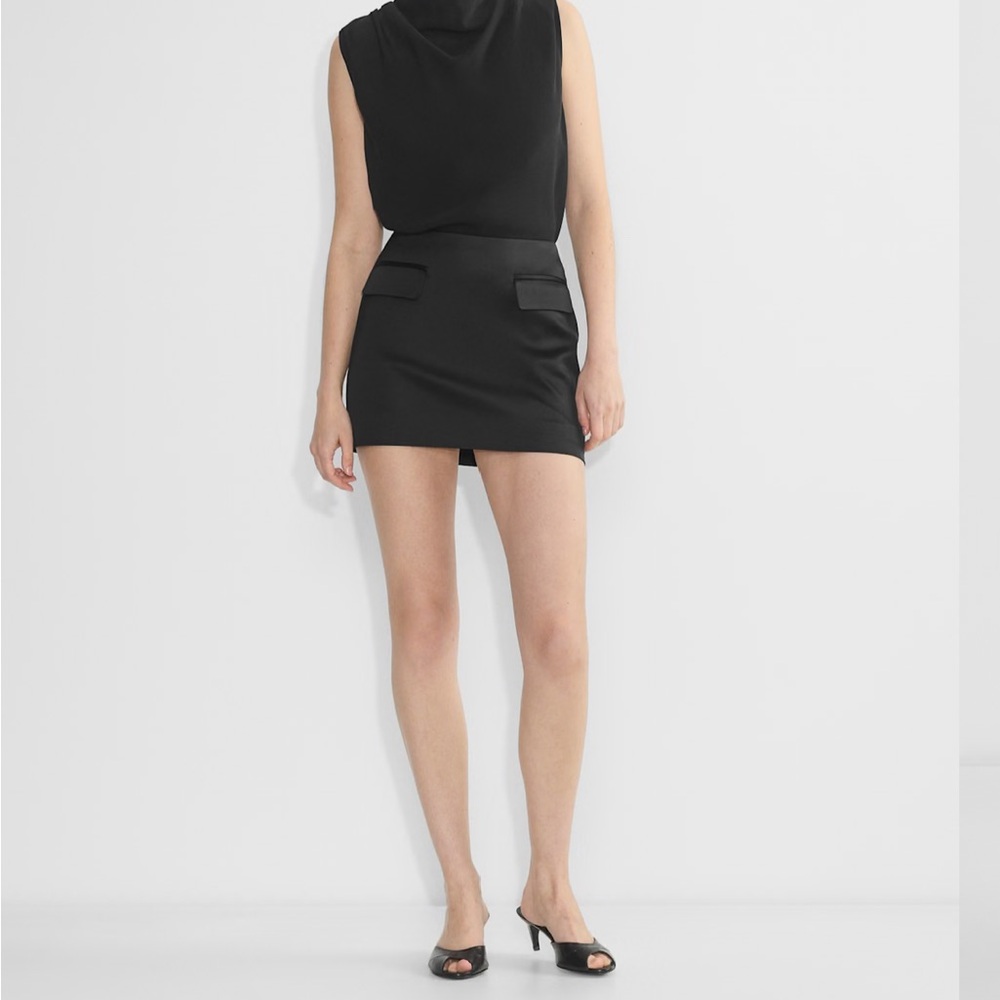 Aritzia babaton Stationery Skirt
